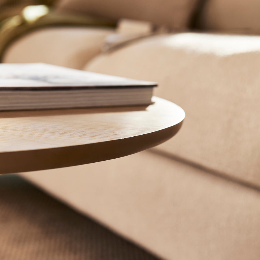 Willow Whitewash Oval Coffee Table - Tasty Coffee Tables