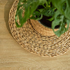 Jade Chalked Mango Wood Rectangular Coffee Table - Tasty Coffee Tables